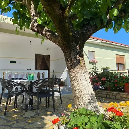 Πανσιόν Vjosa