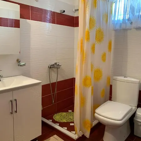 Vjosa Memaliaj