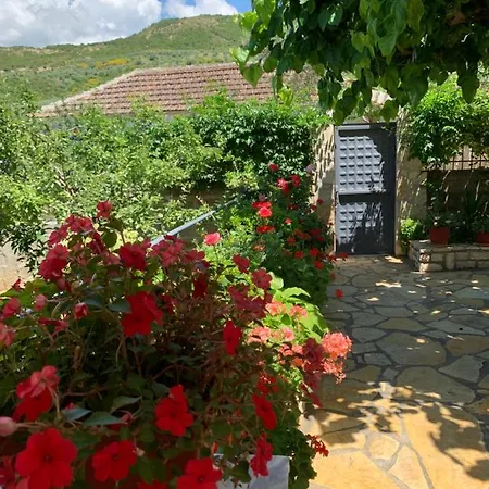 Vjosa Guest house
