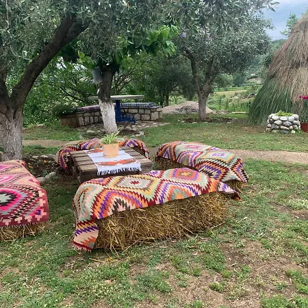 Guest house Vjosa