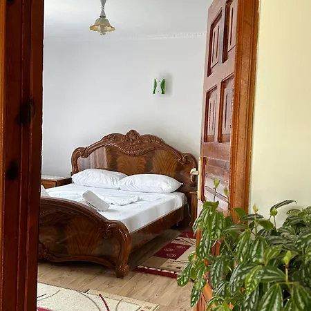 Vjosa Guest house